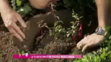 Jardin Malin du 09.10.12