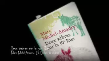 Marque-page - Deux zèbres sur la 30e rue