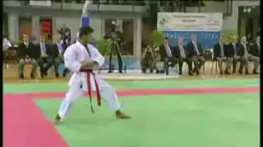 Championnat Suisse de Karaté 2012