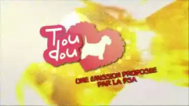 Toudou du 27.11.12