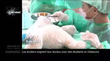 Le zapping 023 du 20.11.12