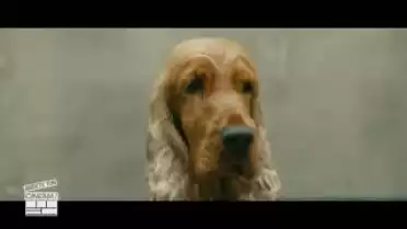 Arrête Ton Cinéma du 26.02.13