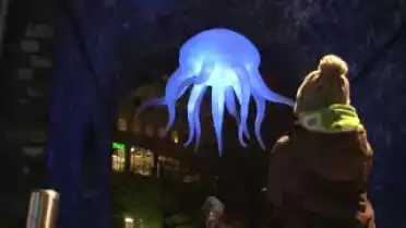 Festival Lausanne lumières