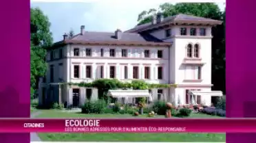 luncher oui, mais éco-responsable!