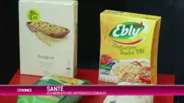 Pour tout savoir sur les différents cérérales