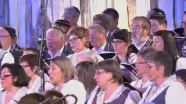 Poya d&#039;Estavannens 2013