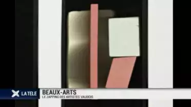 Beaux-Arts : le zapping des artistes vaudois