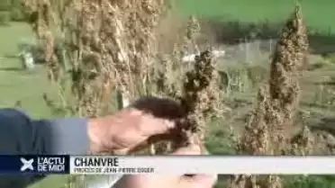 Procès du chanvrier fribourgeois Jean-Pierre Egger