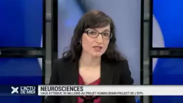 35 millions pour le Human Brain Project de l&#039;EPFL