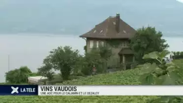 Vins vaudois: AOC pour le Calamin et le Dézaley