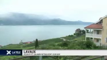 Lavaux: Dézaley et Calamin retrouvent leur AOC