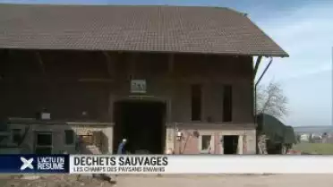Déchets sauvages