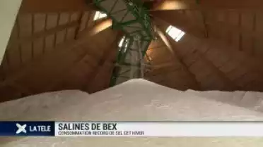 Salines de Bex
