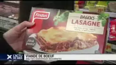 Lasagne gate