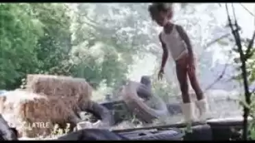 DVD: &quot;Les bêtes du sud sauvage&quot;