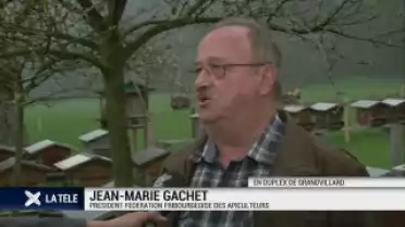Abeilles: l&#039;Europe interdit des pesticides