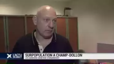 Champ-Dollon: les gardiens genevois s&#039;organisent