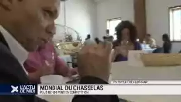 Le Chasselas au concours