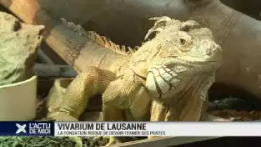 Le Vivarium, une espèce en voie de disparition