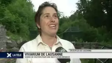 Soirée de soutien pour le Vivarium de Lausanne