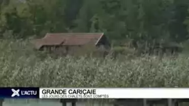 Grande Cariçaie: les chalets bientôt démantelés?