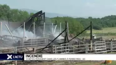 15 bêtes périssent dans les flammes à Ferreyres