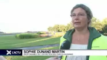1er août: un lendemain difficle pour les parcs