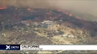 Brèves internationales