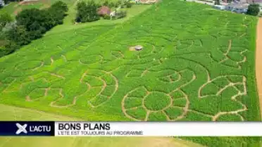 Nos bons plans pour l&#039;été