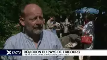 Première Bénichon en modèle géant à Fribourg