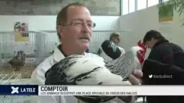 Comptoir suisse: les animaux au coeur des halles