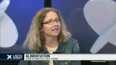 Steak ou insectes: faut-il choisir ?