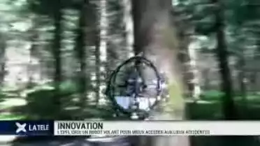 Un robot antichoc inspiré des insectes