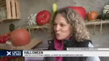 Courges en folie pour Halloween !