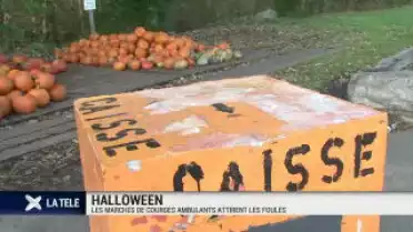 Halloween: les courges au bord de la route font un tabac!