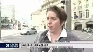 Expérimentation animale : quelles sont les alternatives ?