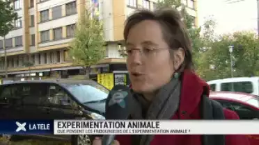Que pensez-vous de l&#039;expérimentation animale