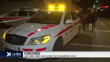 Forcenée de Vevey: une femme a mis en émoi tout un quartier