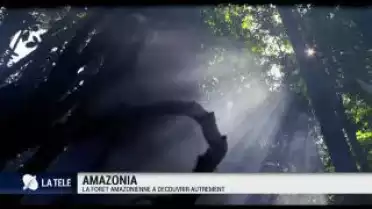 Amazonia: la forêt amazonienne à découvrir autrement