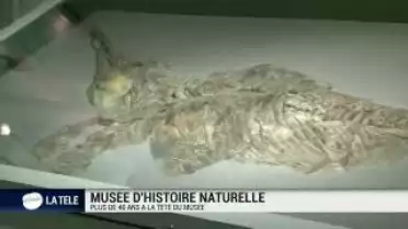 Départ du directeur du Musée d&#039;Histoire Naturelle de Fribourg