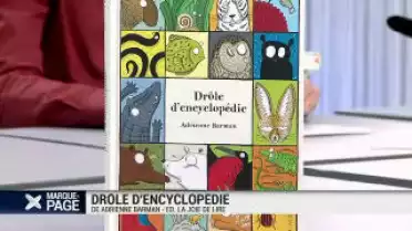 Drôle d&#039;encyclopédie
