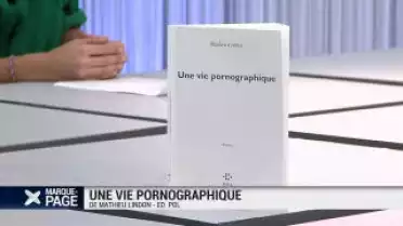 Une vie pornographique