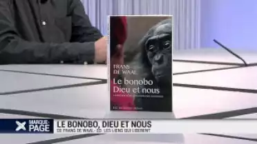 Le bonobo, Dieu et nous