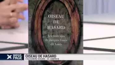 Oiseaux de hasard