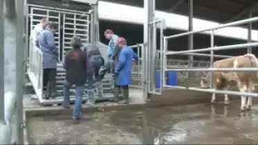 Toudou du vendredi 28  juin