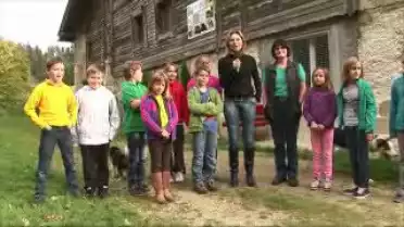 L&#039;action Felix et son Miaou-O-Mat