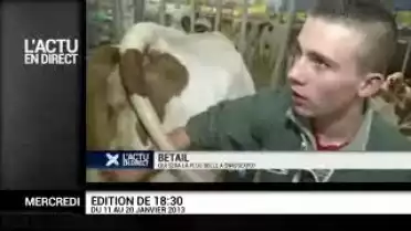 Le zapping 029 du 23.01.13