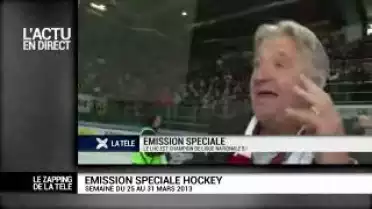 Le zapping 039 du 08.04.13