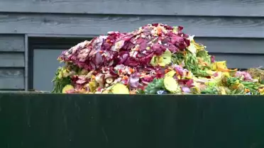 La biomasse, source d'énergie