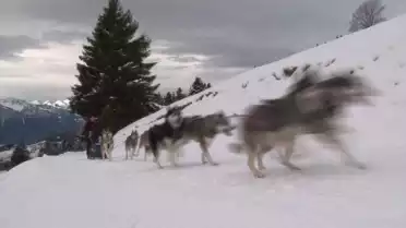 Transalp Vaudoise à Gryon